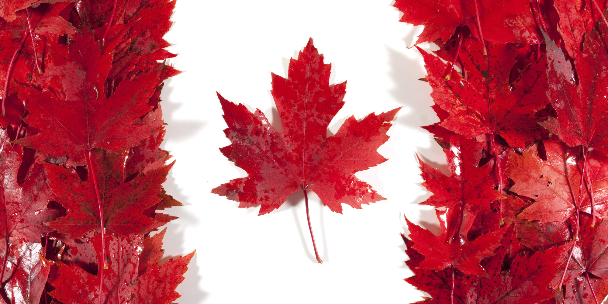 Oh Canada